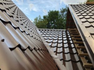 IMG_7959-08-08-18-10-49