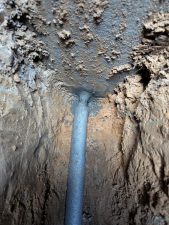 снт Весна-137 снт Весна-137