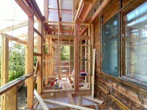 снт Весна-36 снт Весна-36