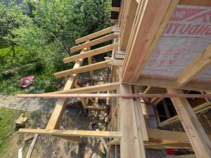 снт Весна-42 снт Весна-42