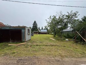 Лесные Дали-1