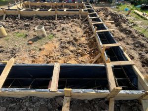 Лесные Дали-10