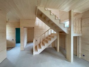 Лесные Дали-119