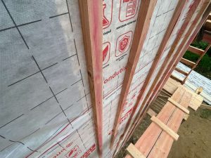 Лесные Дали-40