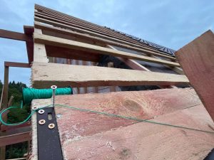 Лесные Дали-42