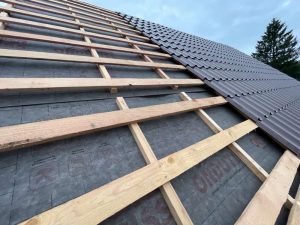 Лесные Дали-43