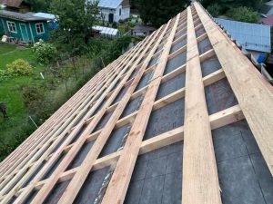 Лесные Дали-46