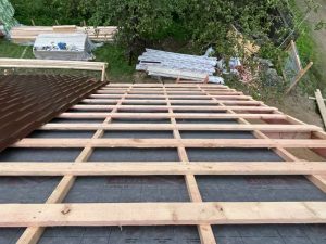 Лесные Дали-47