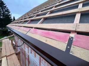 Лесные Дали-51