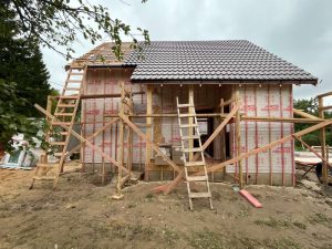 Лесные Дали-52