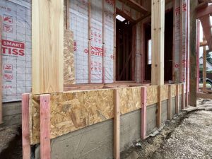 Лесные Дали-53