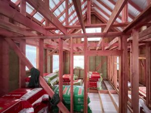 Лесные Дали-64