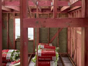 Лесные Дали-65