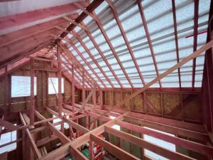 Лесные Дали-67