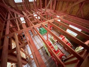 Лесные Дали-68