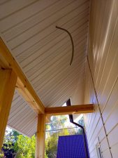 Лесные Дали-86