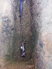 Лесные Дали-88