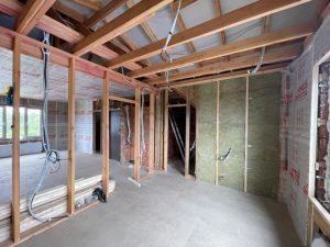 IMG_1517 IMG_1517