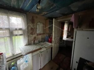 IMG_5035 IMG_5035