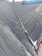 IMG_8823 IMG_8823