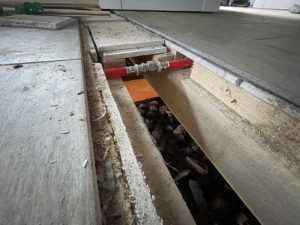 IMG_0719 IMG_0719
