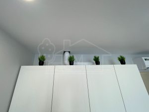 IMG_2893 IMG_2893